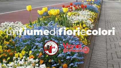 22. Un fiume di fiori e di colori